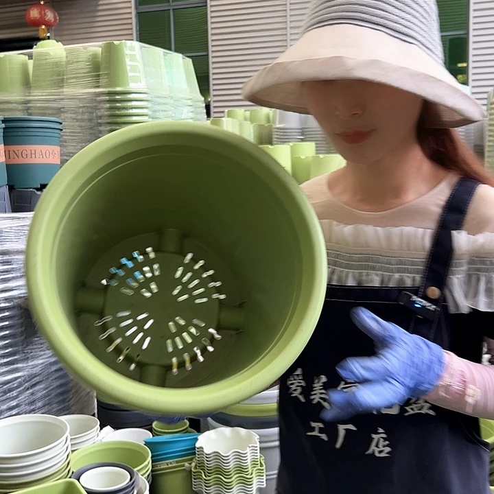 四季盆7#果绿色6个无托