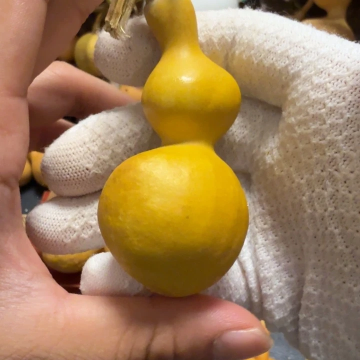 1***道6666………………………………