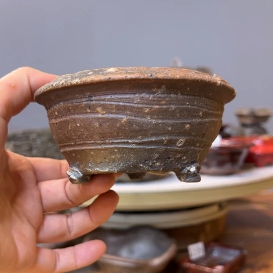 夜*瞳1224568902245