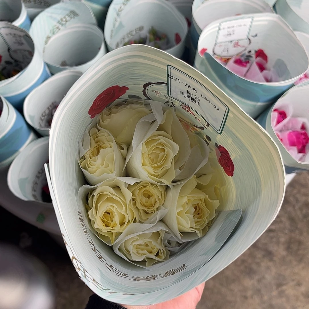 全部花苞青幕谷（浮光）一扎