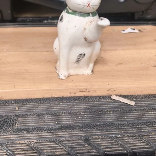 完美主义慎拍猫壶