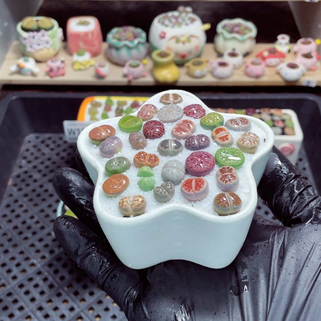 夜间零下地区拍保温箱w1591