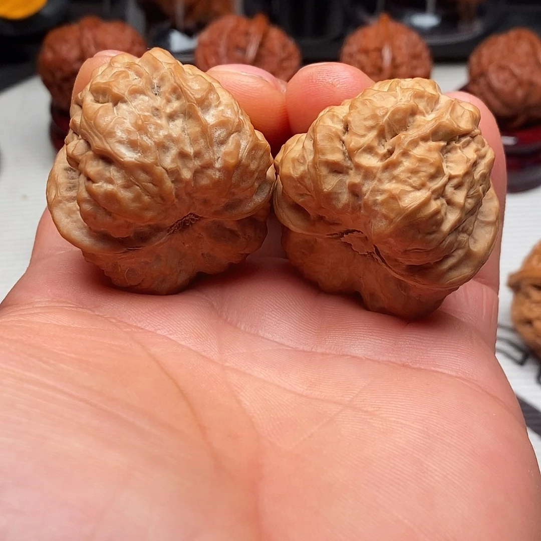 文玩核桃把件38尺蛤蟆头