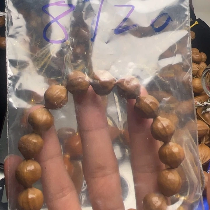 橄榄核手串/手链四花