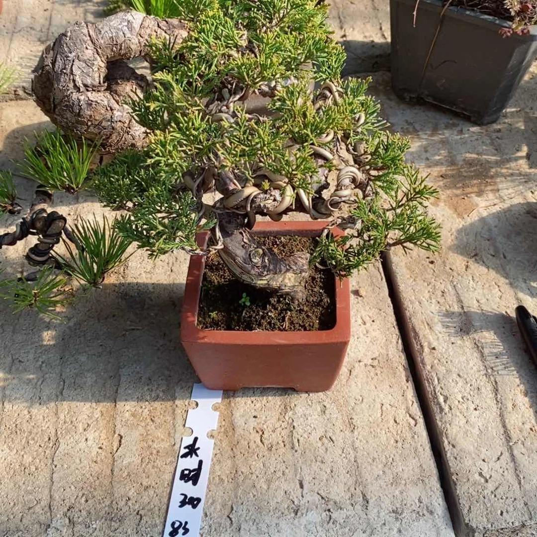 手工艺品琉璃八**财