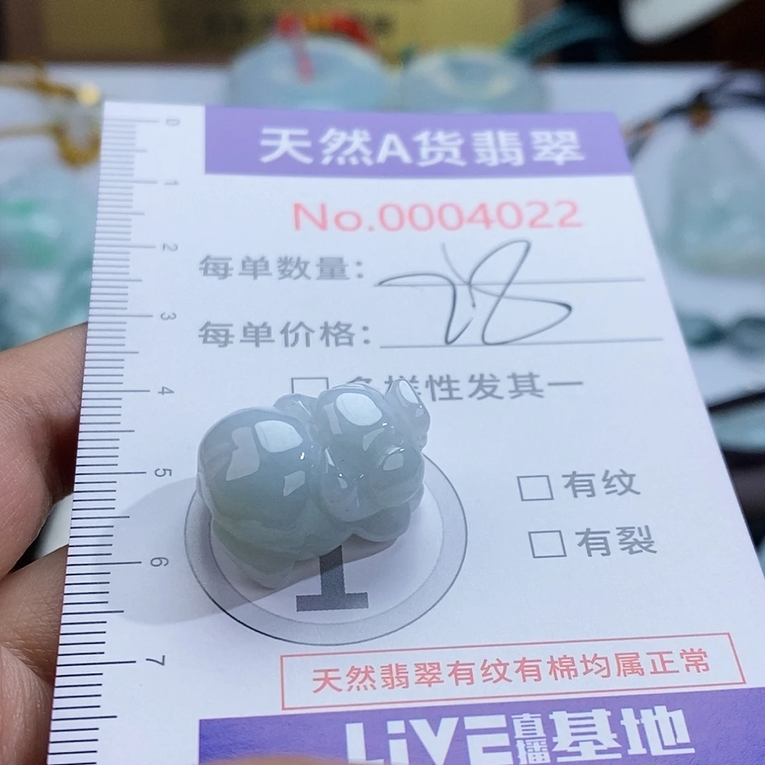 翡翠未镶嵌颈饰4022