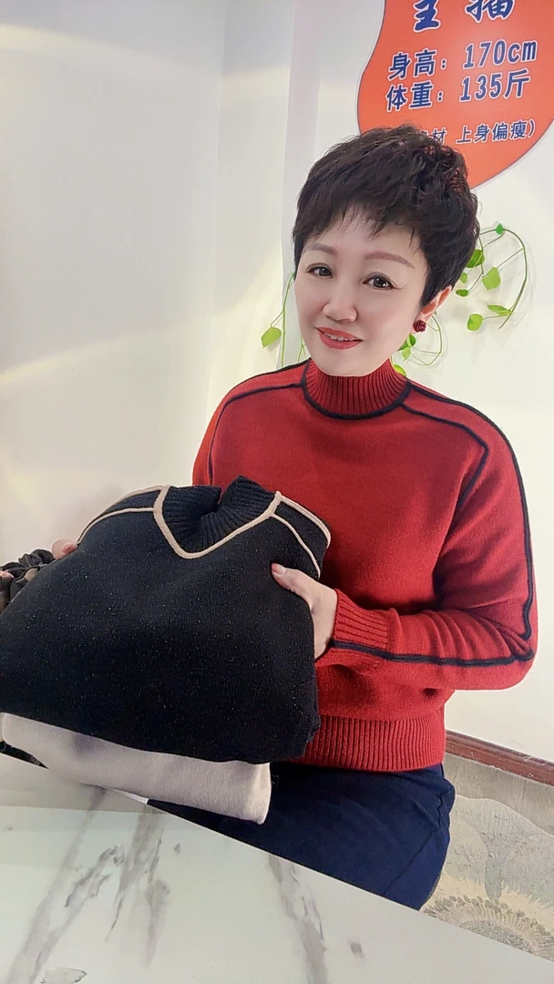 【于姐】24513金丝半高领长袖通勤毛衣休闲百搭显瘦女套头毛衣