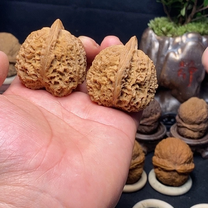 吊坠文玩核桃云南铁核桃20