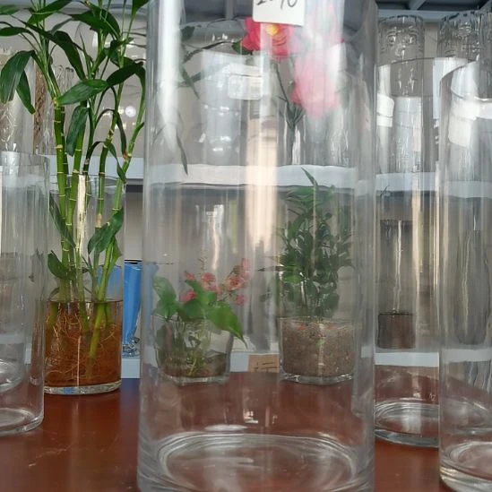 玻璃玻璃花瓶直筒高度40口径20➕