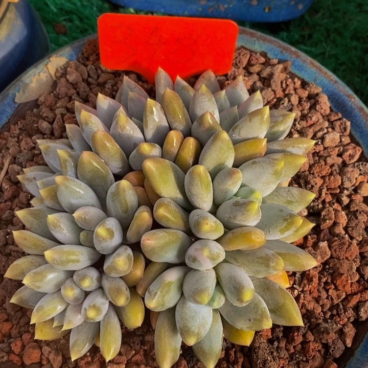 你们还会记得那个年代