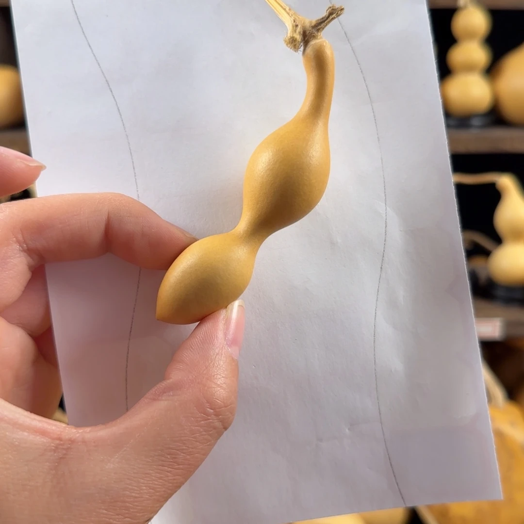 Y***。葫芦葫芦葫芦葫芦葫芦