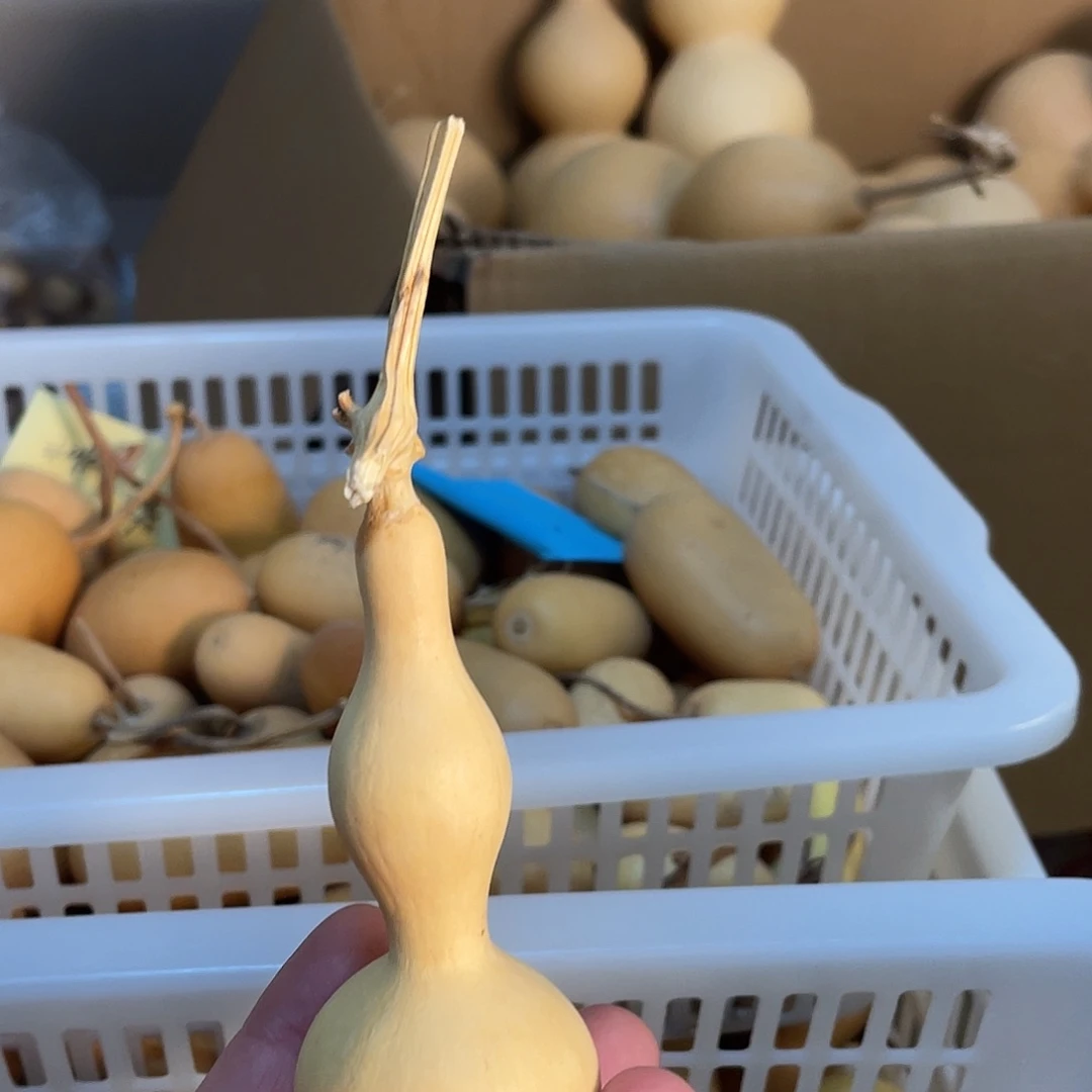 烈***生葫芦已直播间为准