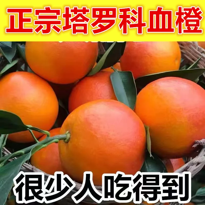 【现货速发】正宗资中塔罗科血橙新鲜水果手剥脐橙橙子整箱批发