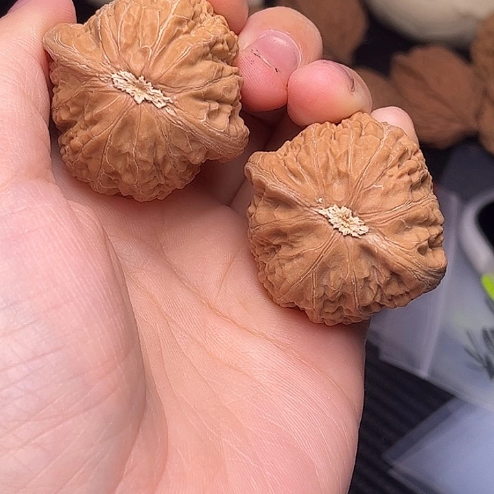 处处催催催催催催催
