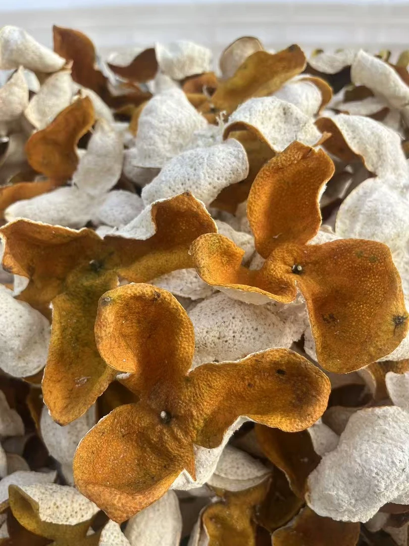 《2025双水原枝大红》新会陈皮 老树原枝大红皮自然生晒干仓储存12