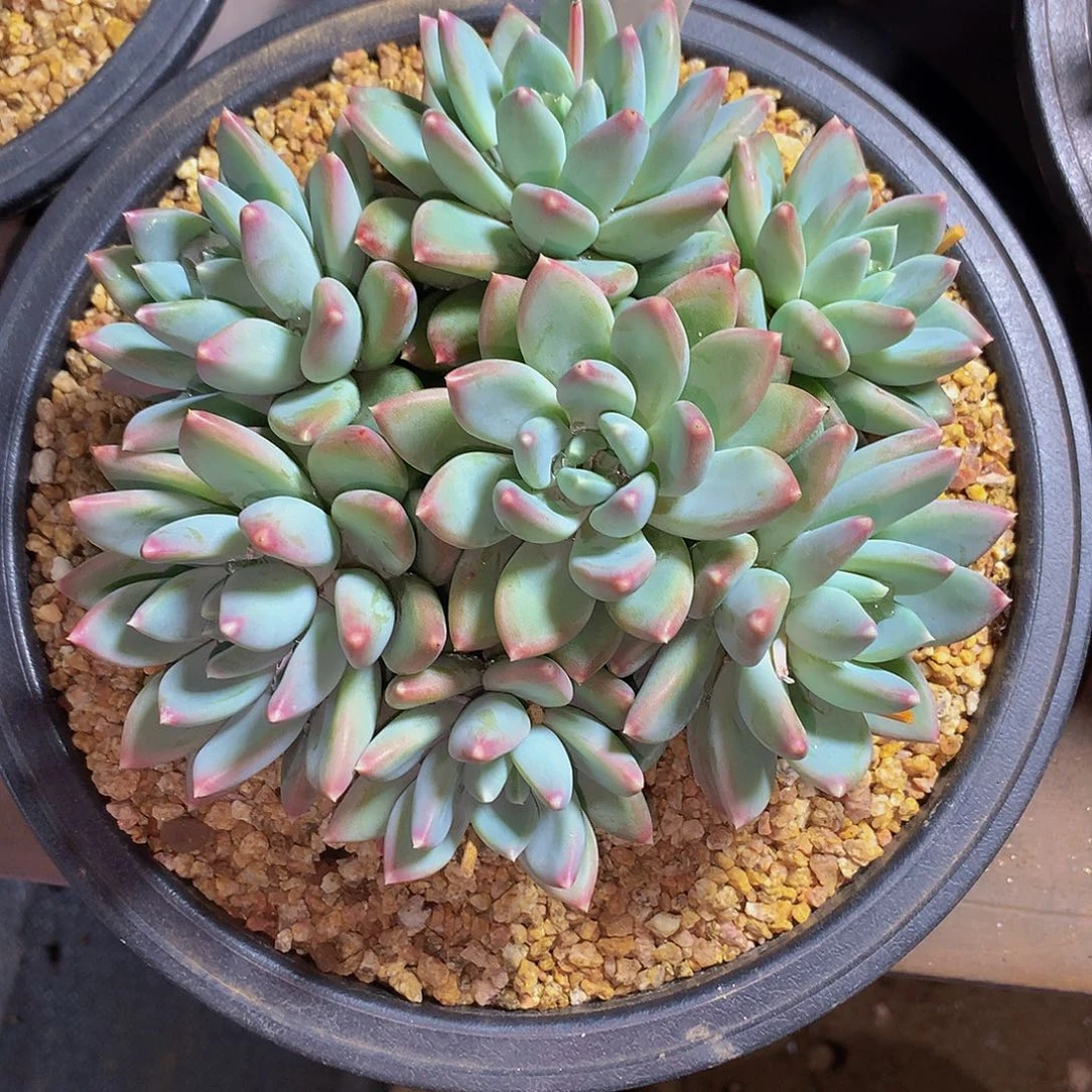 <****9哈哈哈哈哈哈哈哈哈哈哈哈