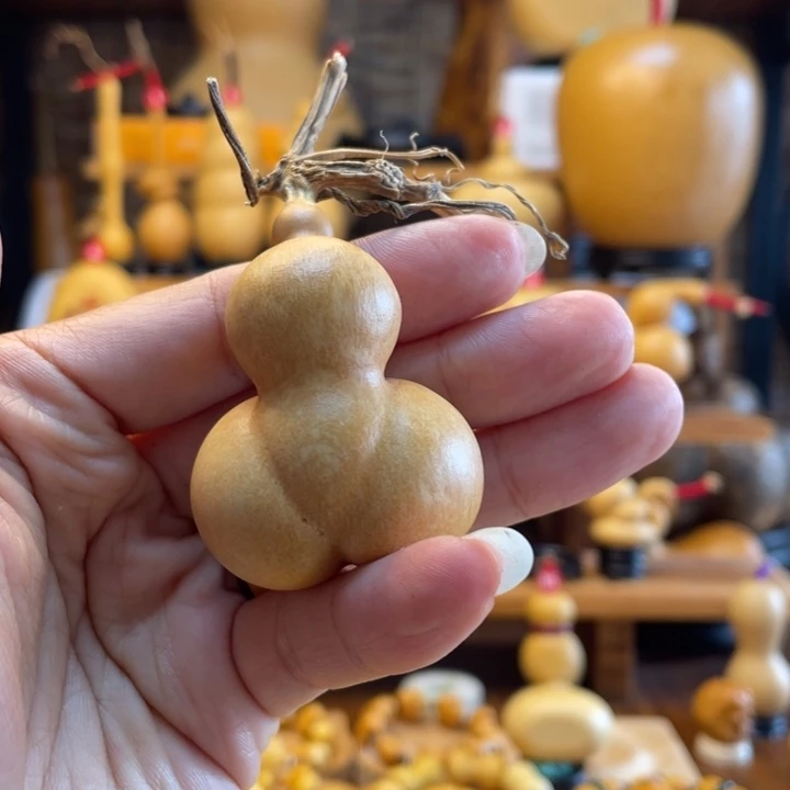 空***也天然葫芦自然生长