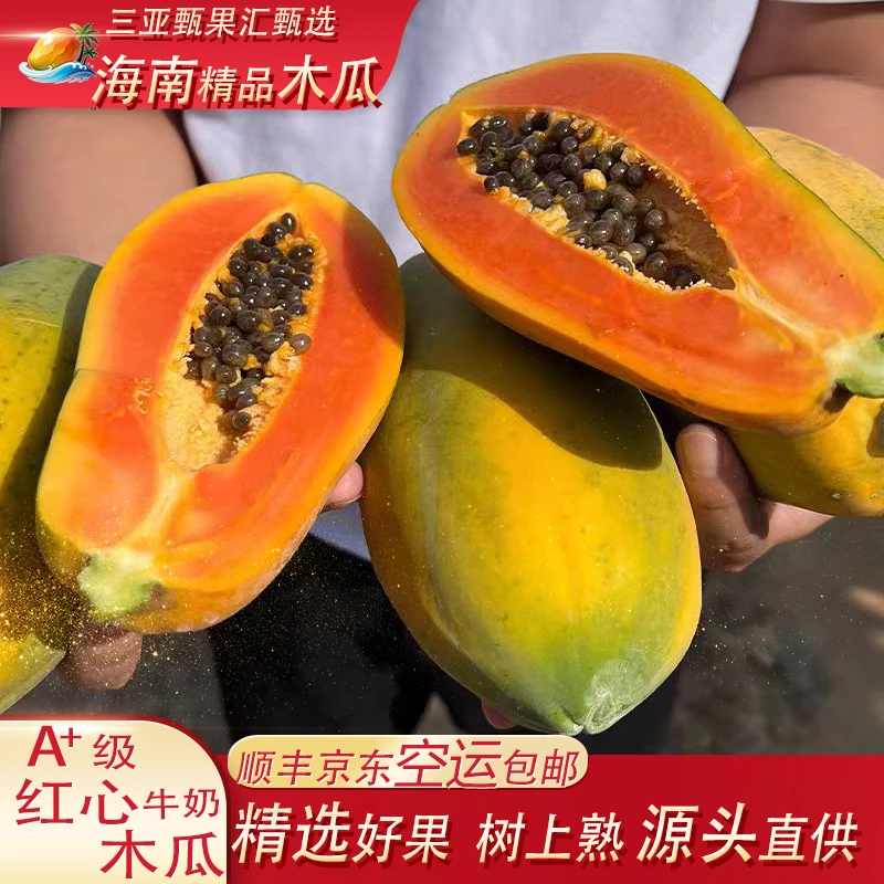 海南新鲜直采时令应季红心牛奶木瓜