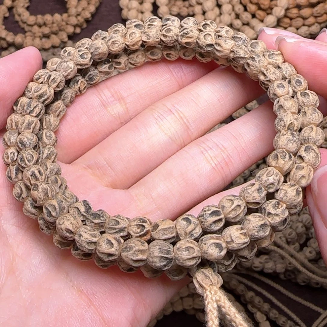 柏香籽/百香籽手串草*