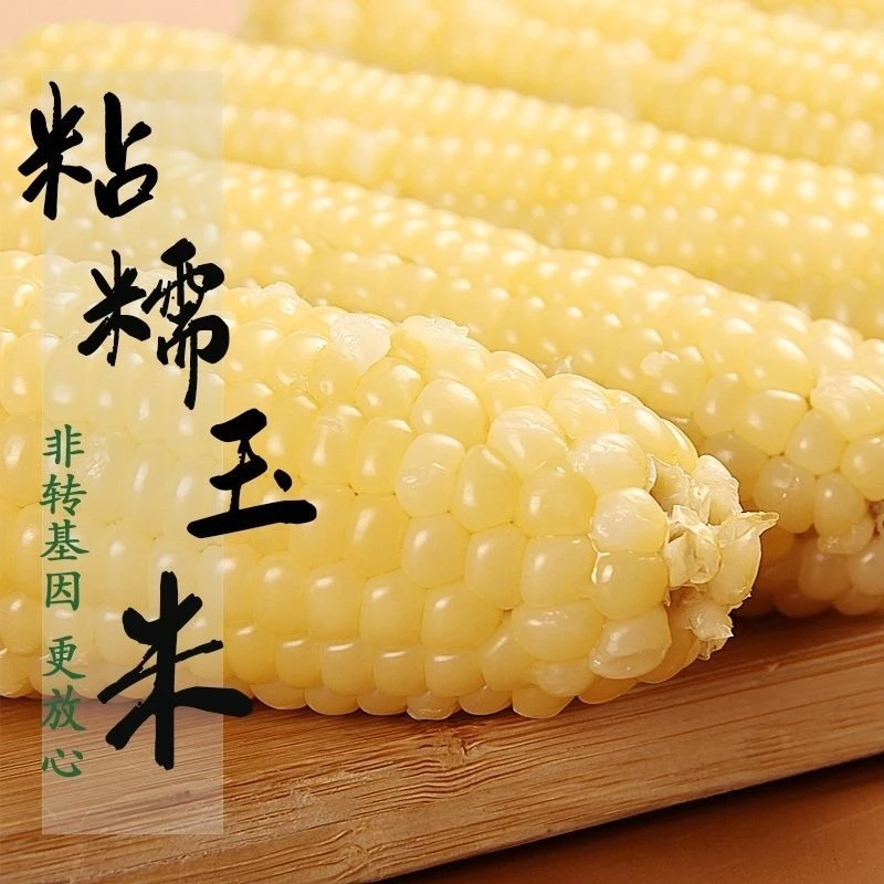 东北 速冻玉米 东北特产 10棒5斤以上