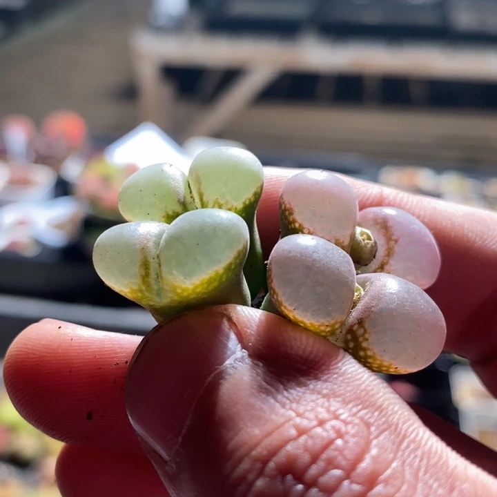 24122一组一组一组