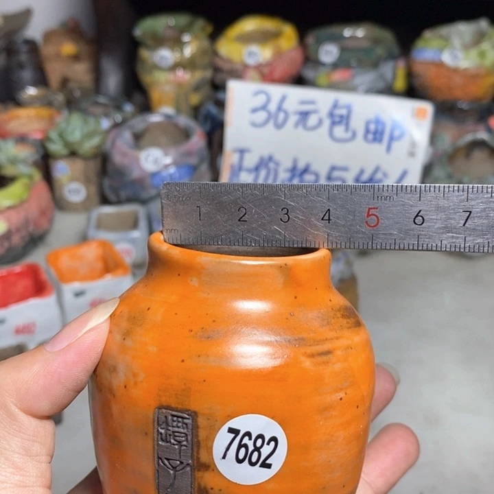 拍3送一个小礼物