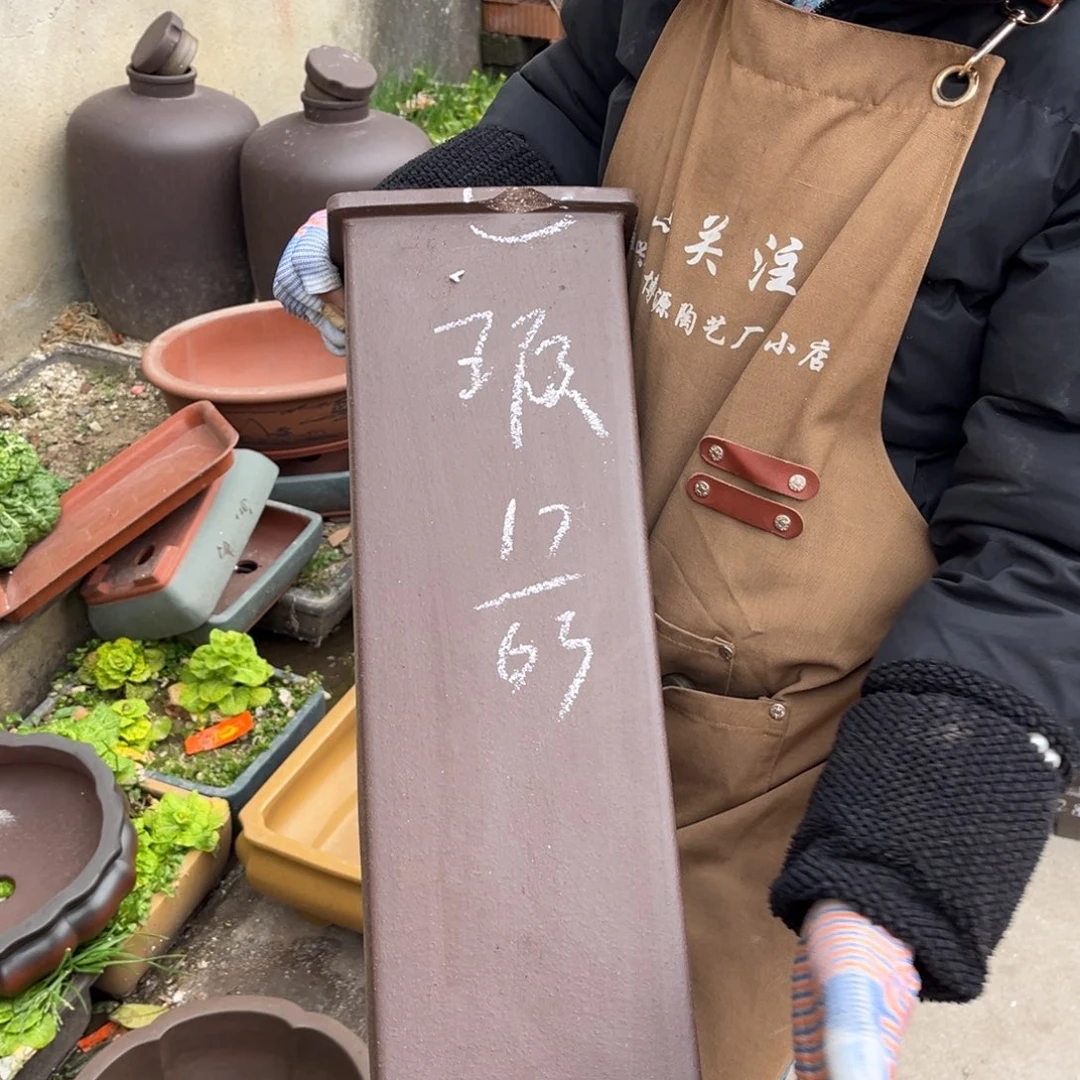 紫砂花盆未***园盆景艺术