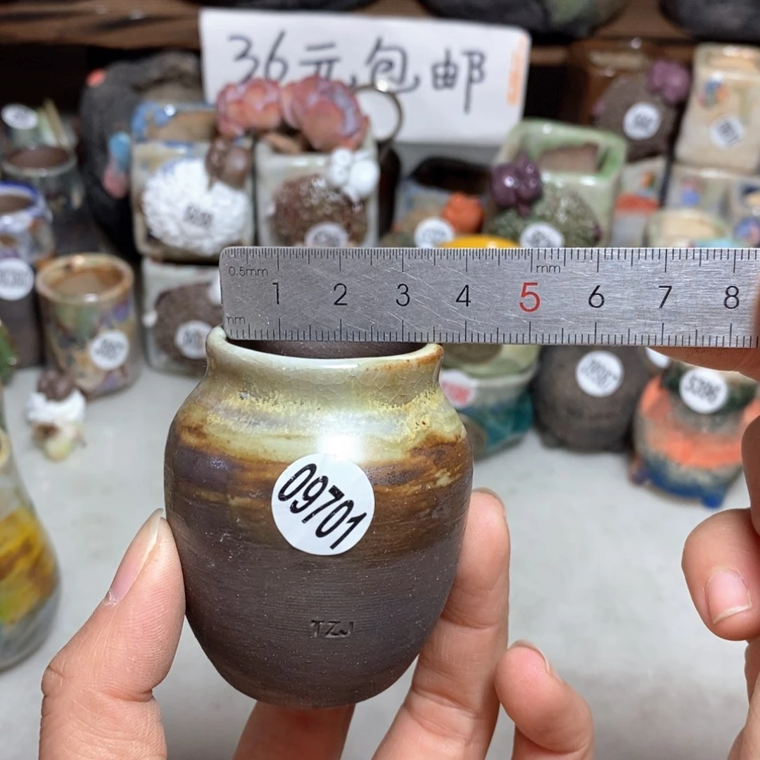 拍5送一个小礼物