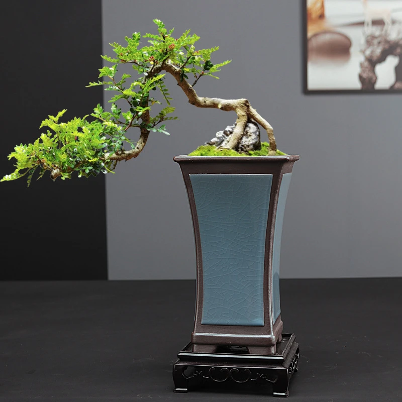 精品大号哥窑高端高款兰花花盆上档次家用室内绿植盆栽兰花兰花盆