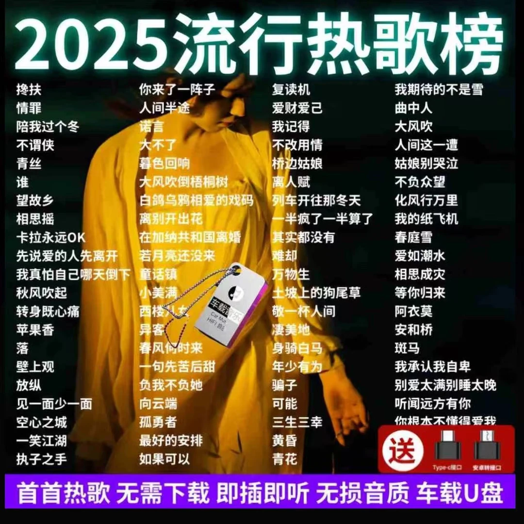 专业无损汽车高品质音乐U盘最新抖音火爆车载音乐U盘新歌流行歌