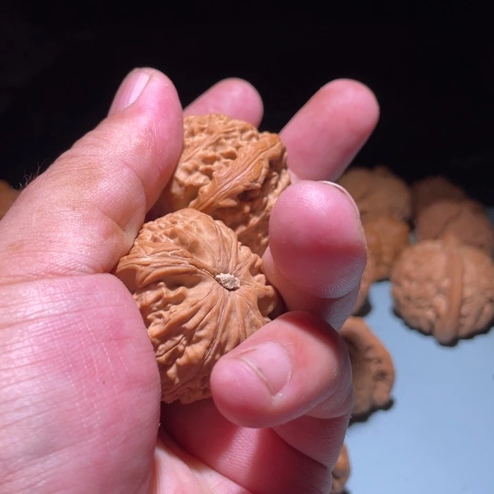 文玩核桃把件白狮子