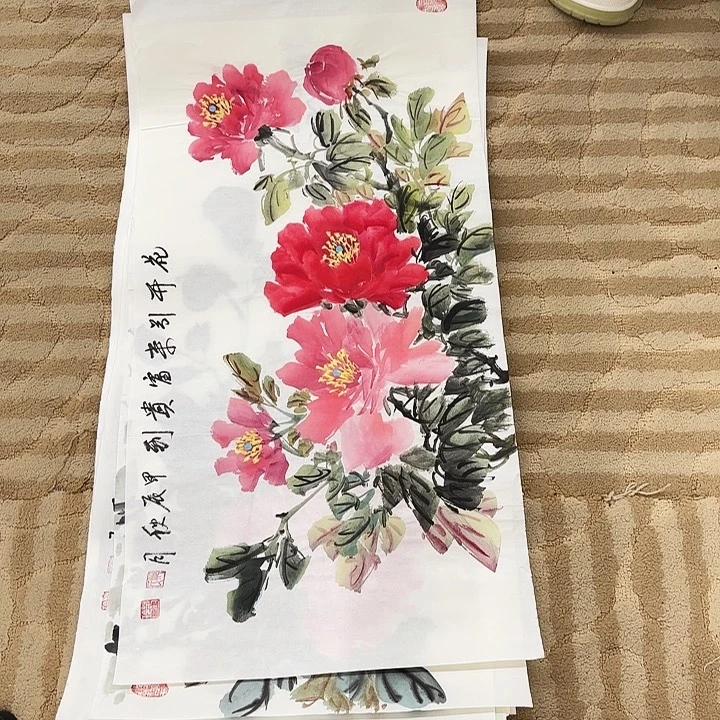 国画花鸟等多种鸟类和