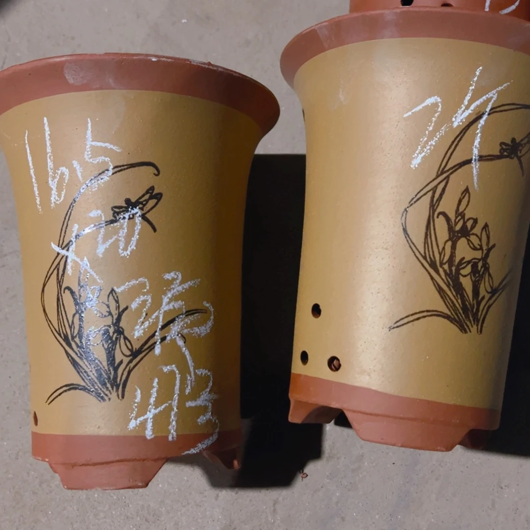 紫砂47……………………………………