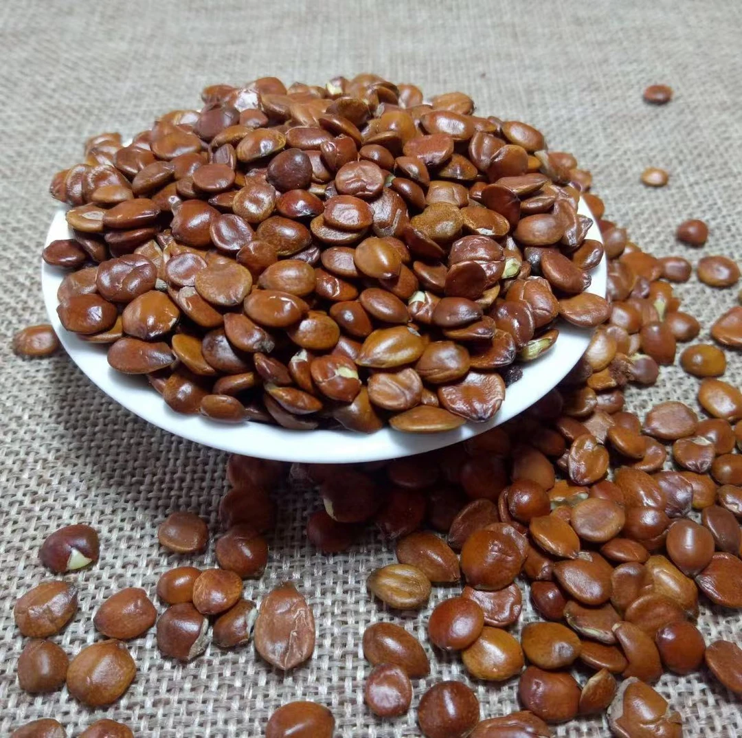 【少宇补贴福利】真酸枣仁 夏至枸杞