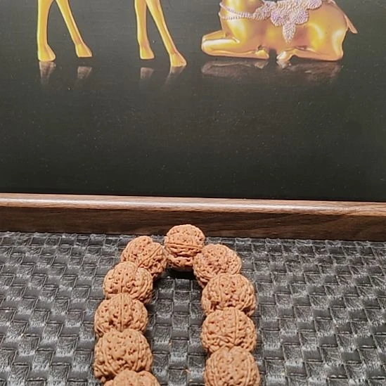 龙脊菩提吊坠小****✨