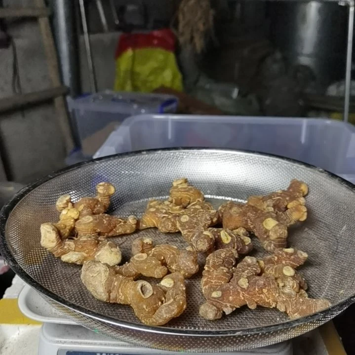 N***a中国大陆广西野生黄精干货