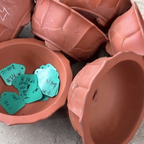 100-6。    24.5-10.5