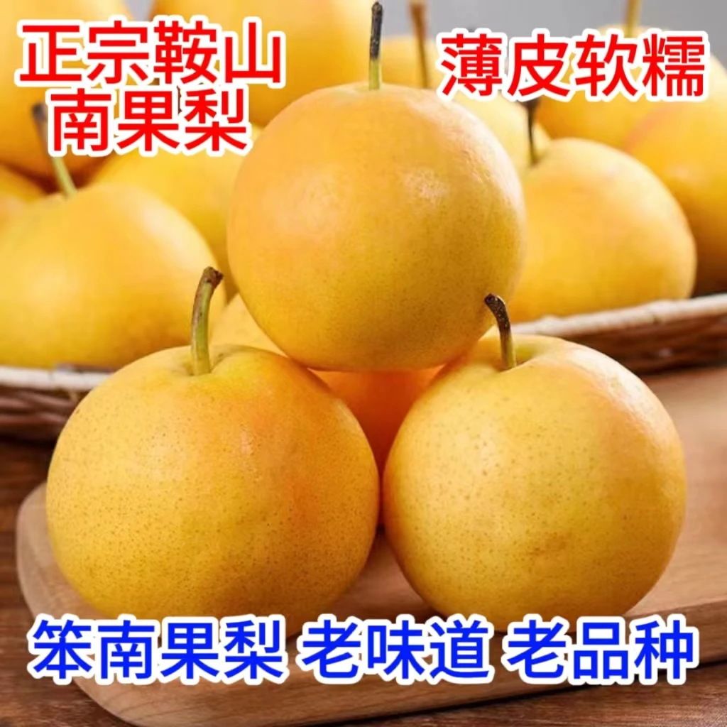 正宗鞍山大屯南果梨皮薄肉厚汁水充足
