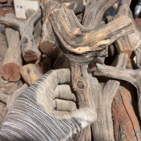 大果紫檀（缅甸花梨）•*