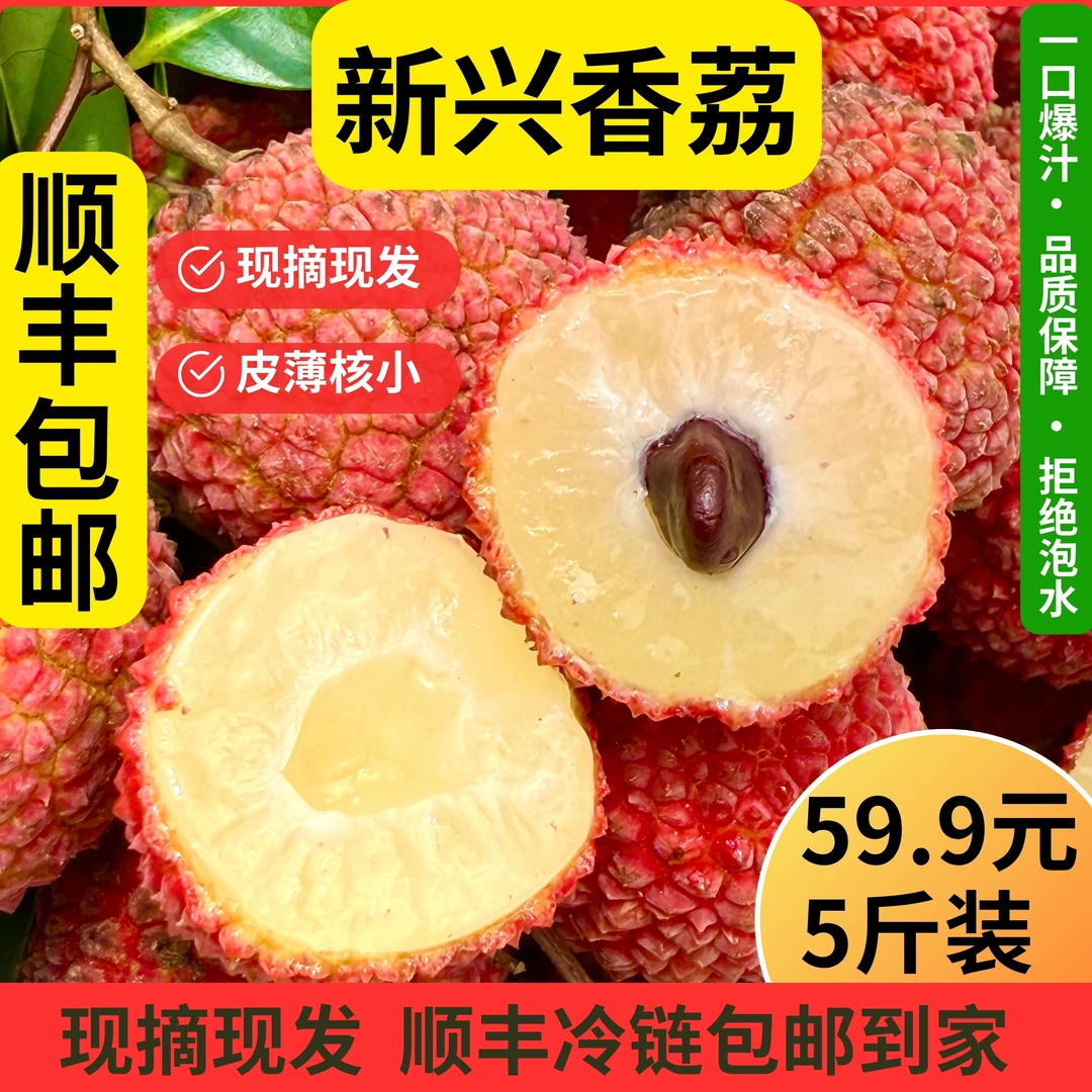 (顺丰冷链包邮)新兴香荔枝独特香气当季广东新鲜现摘老树不泡水