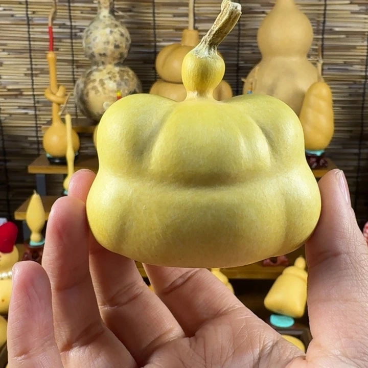 清***荷葫芦哈哈哈哈哈哈哈哈哈