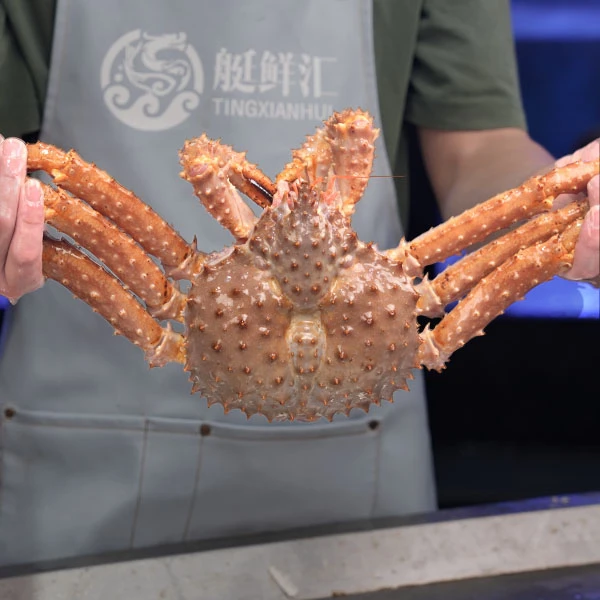 【能拍包活】活金帝王蟹当顺丰面开箱视频死了赔100生鲜类脱水5%