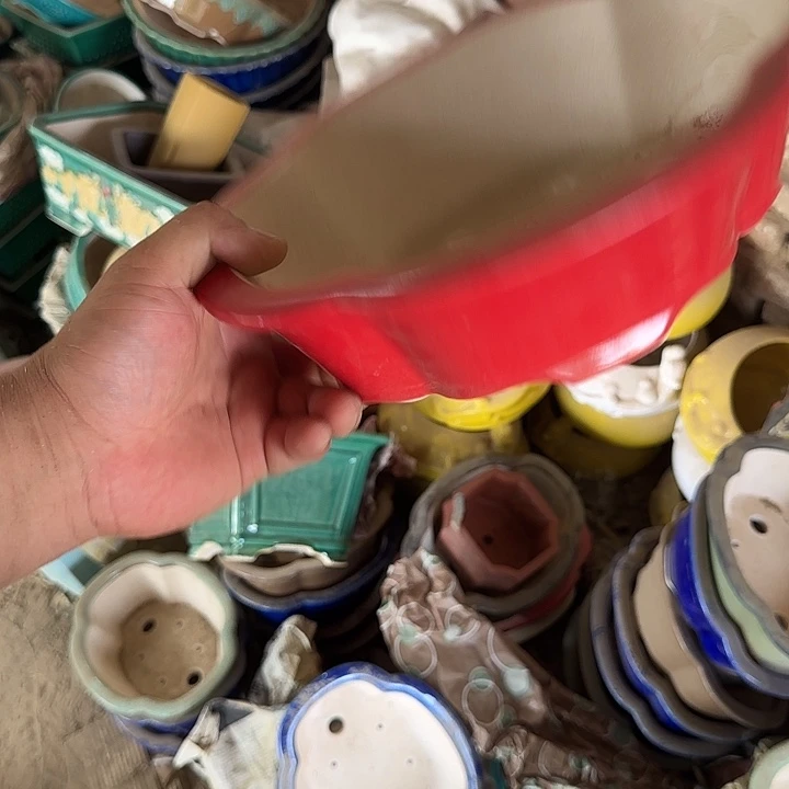 这一期太有意思咯