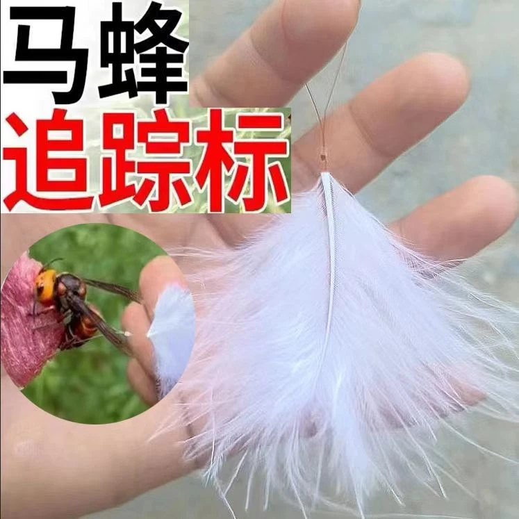 升级版马蜂羽毛蜂标可追踪金环红娘黑尾等多种马蜂