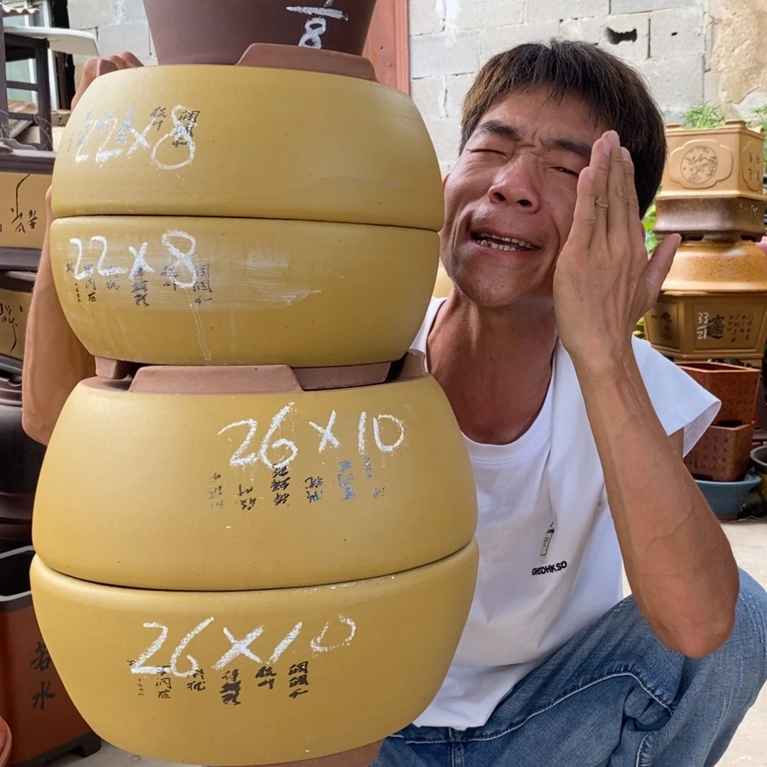 紫砂紫砂紫砂紫砂