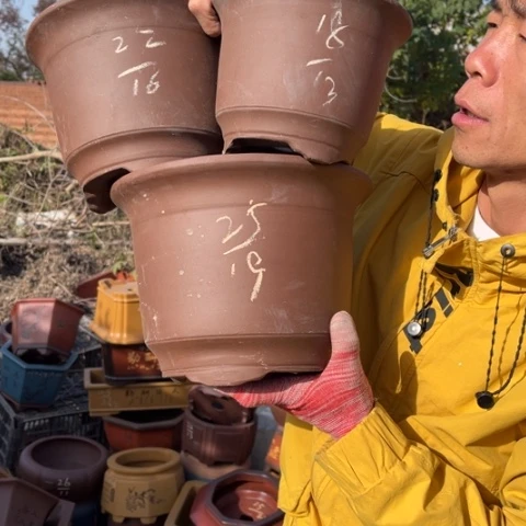 花盆紫砂特价包邮秒杀