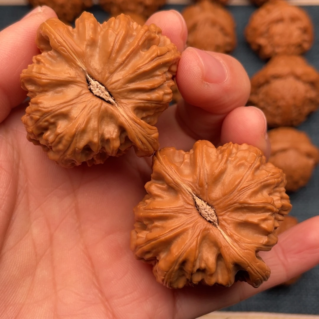 文玩核桃把件43红皮球白