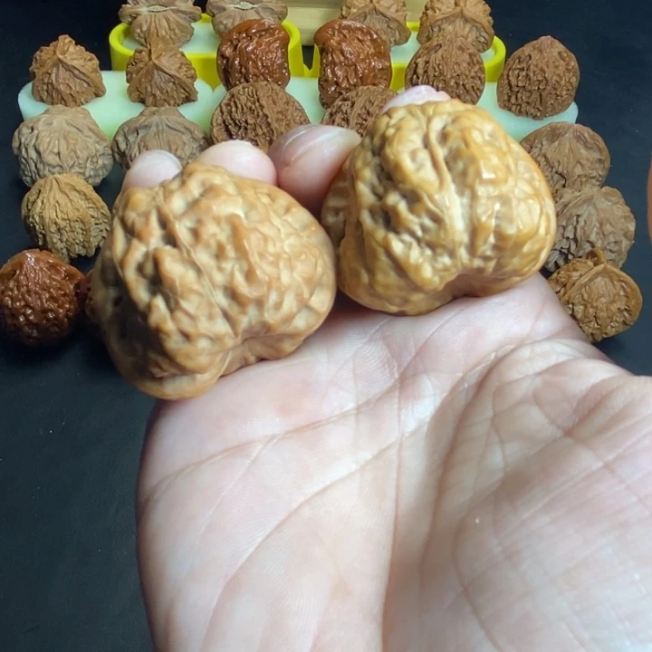 核桃手串/手链41蛤蟆头福利款不退换