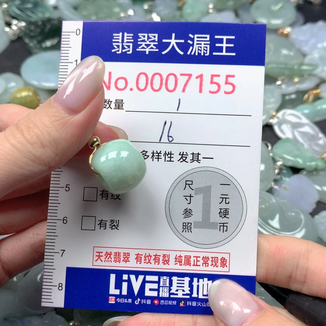 翡翠未镶嵌吊坠(不含链)