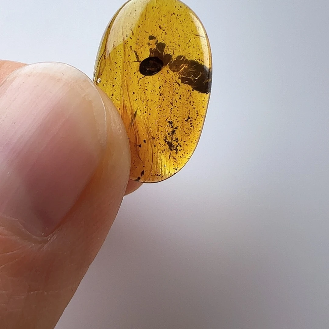 琥珀裸石未镶嵌人****真